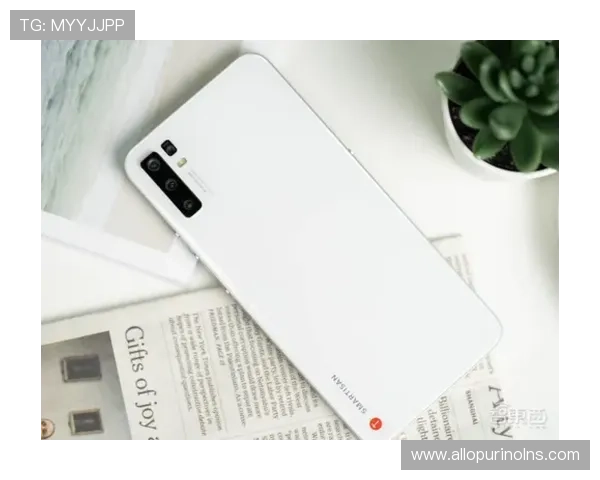 乐鱼体育手机娱乐优化用户体验，提升界面设计与操作流畅度