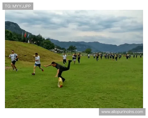 德朝体育全站登录帮助玩家快速进入游戏体验全新体育竞技乐趣