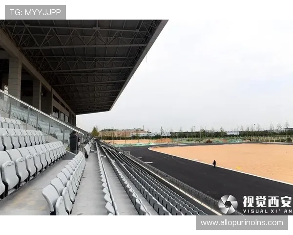 未来T8体育的发展方向与创新技术应用前景展望