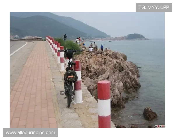 适合新手的半岛体育app安装详细攻略，零基础也能轻松搞定安装流程