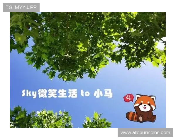 如何通过咕咪体育app入口官网快速找到最新赛事信息与直播资源